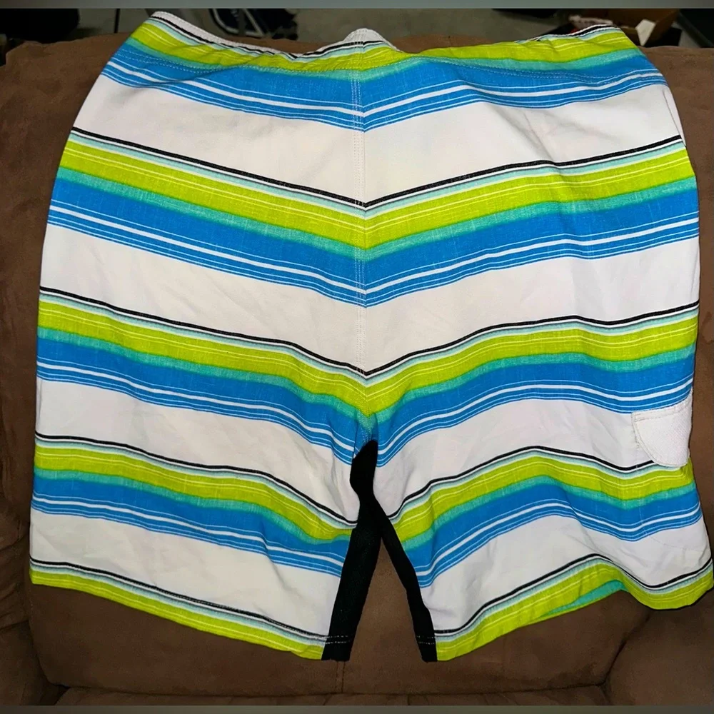 Subculture Men’s Striped Blue and Green Swim Shorts